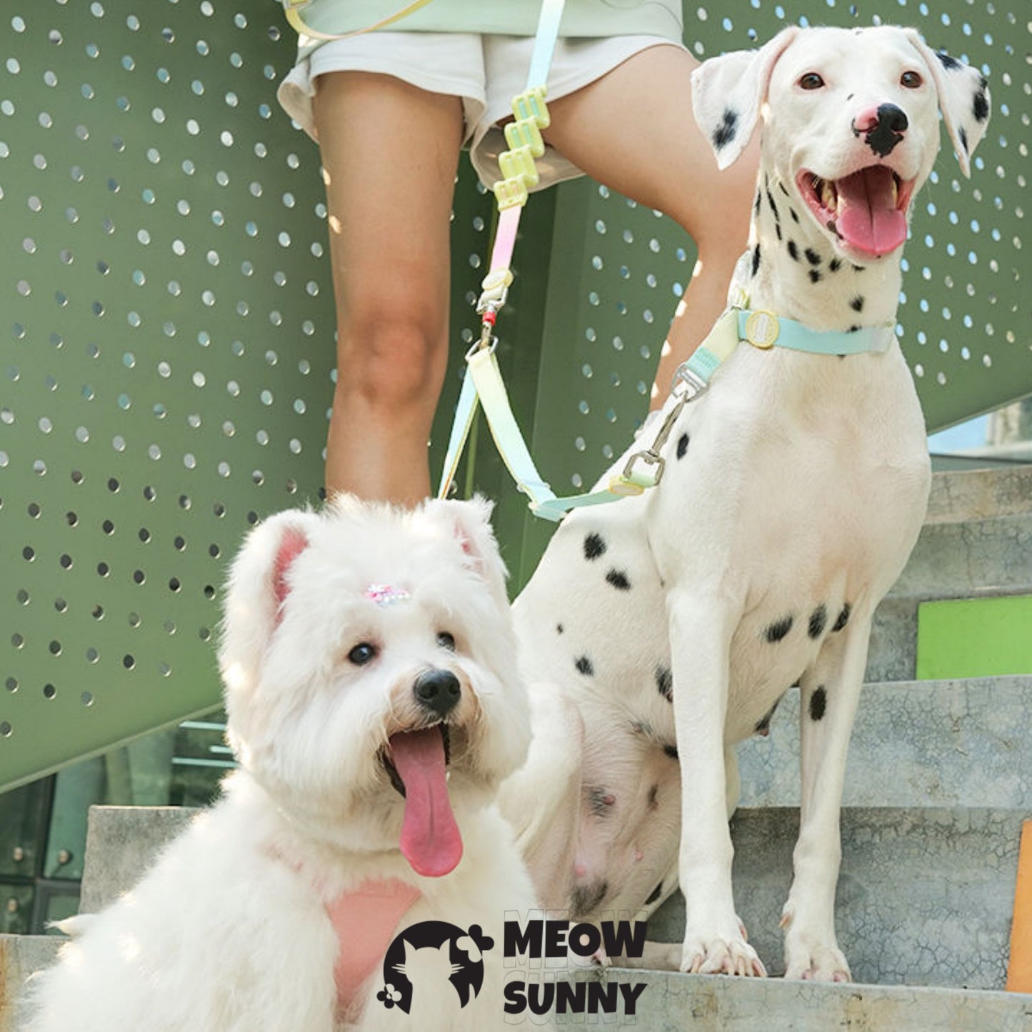 Escape Free Easy Fit Dog Harness, Colorful,1.2M