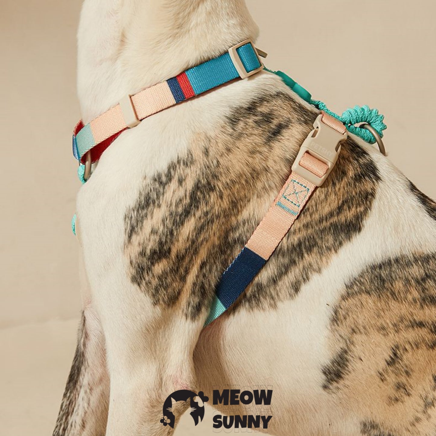 Basic Solid Adjustable Dog Harness, Blaze Green, Medium: 31.5 to 86.5-cm chest