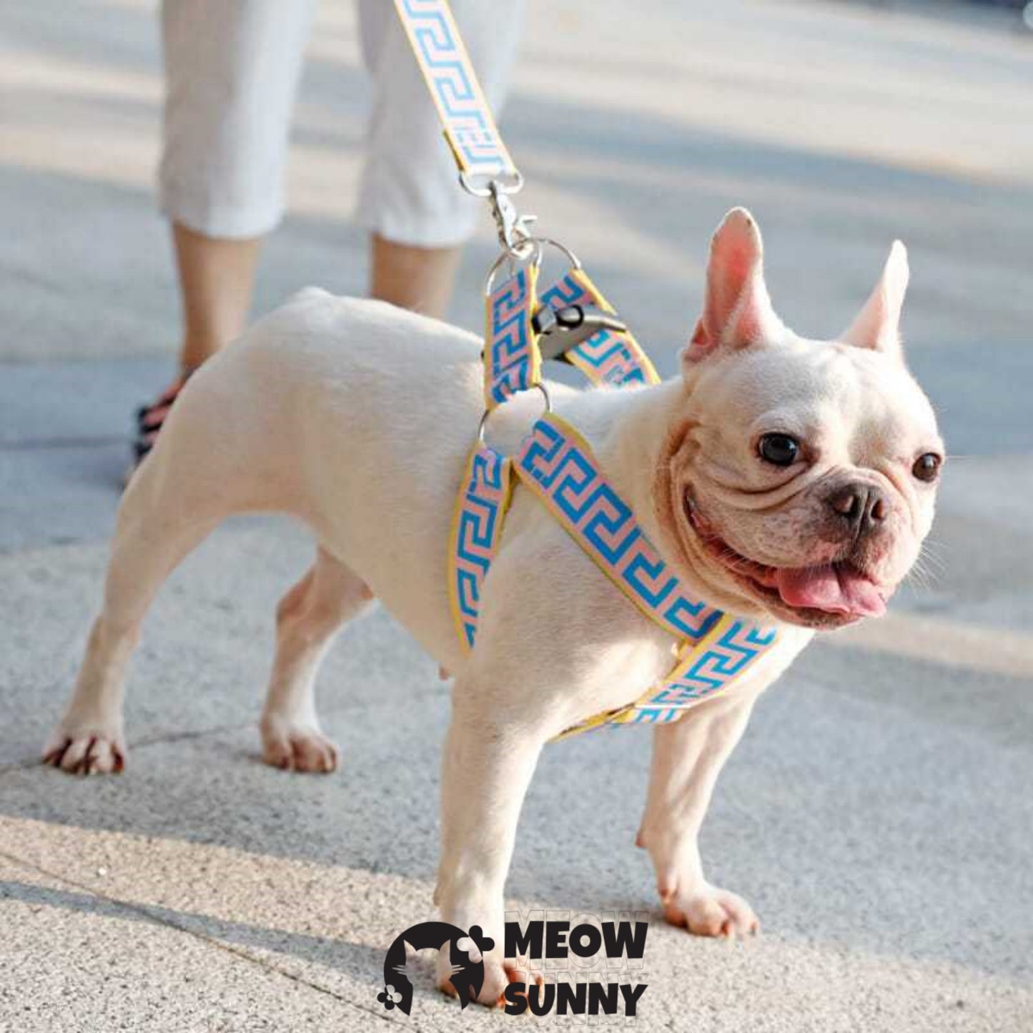 Car Safety Dog Harness with Seat Belt, Blue, Medium: 45 to 76-cm chest