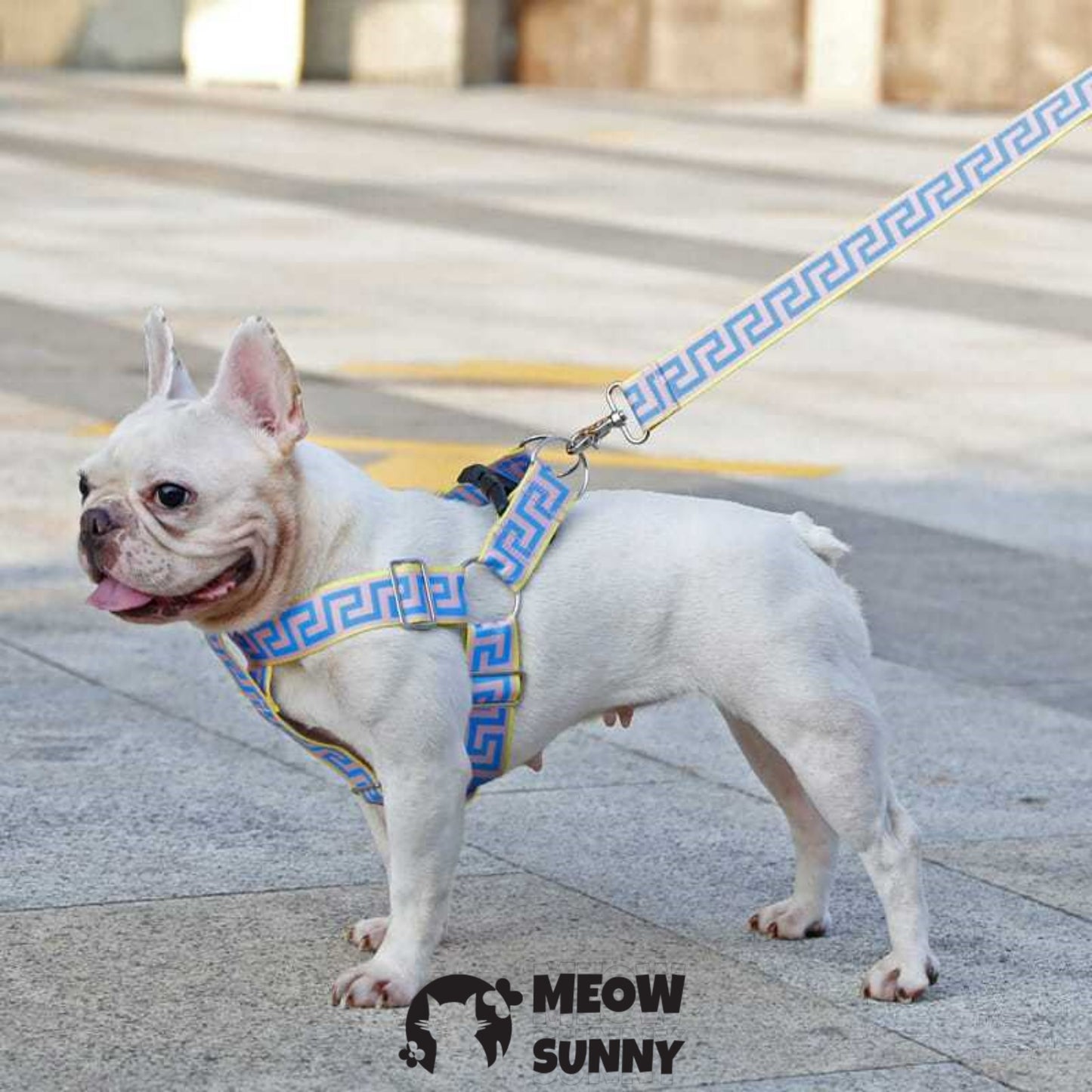 Car Safety Dog Harness with Seat Belt, Blue, Medium: 45 to 76-cm chest