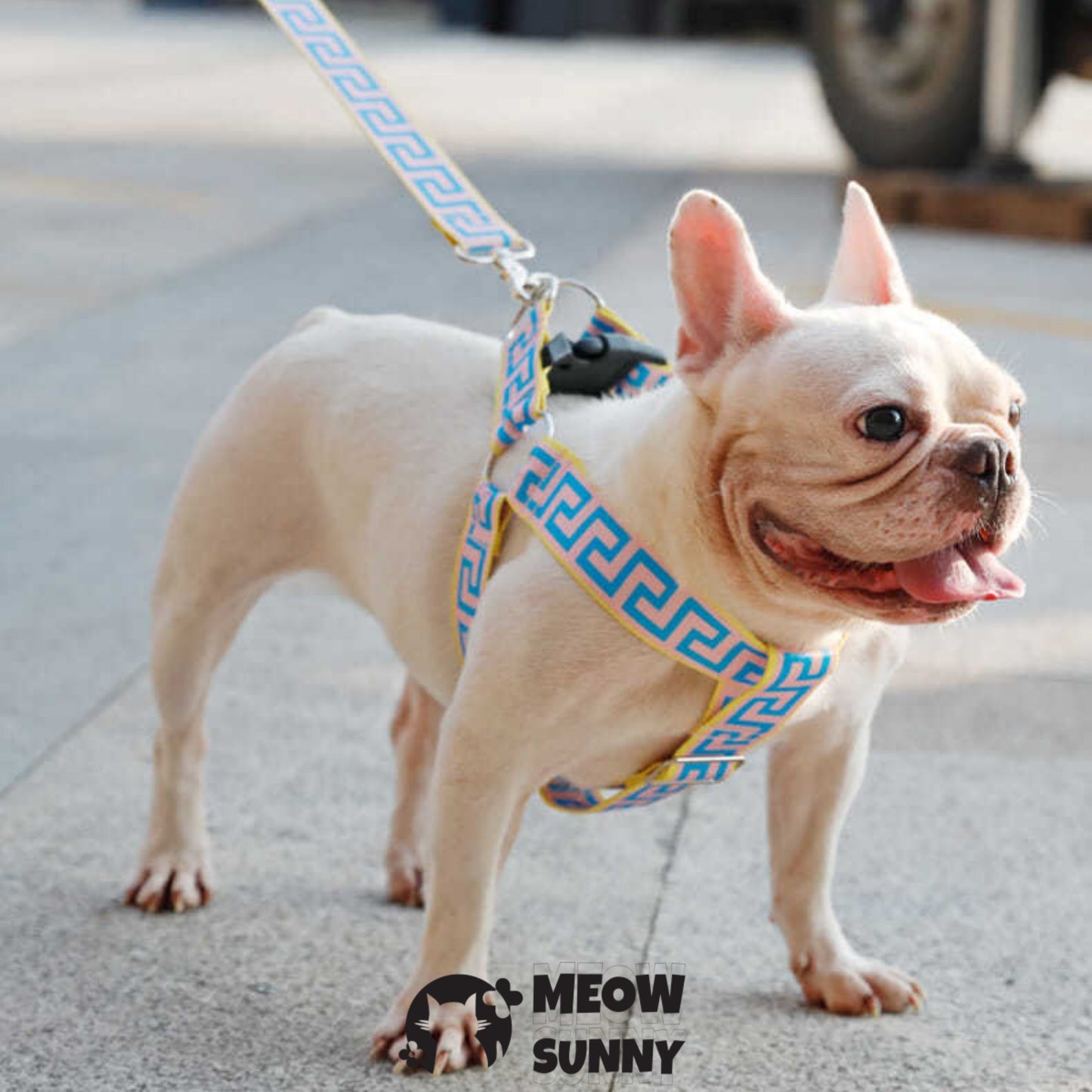Car Safety Dog Harness with Seat Belt, Blue, Medium: 45 to 76-cm chest