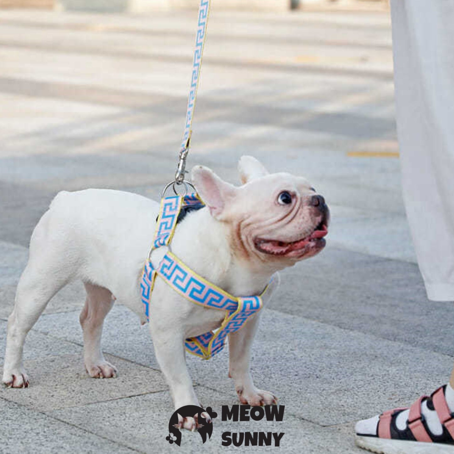 Car Safety Dog Harness with Seat Belt, Blue, Medium: 45 to 76-cm chest