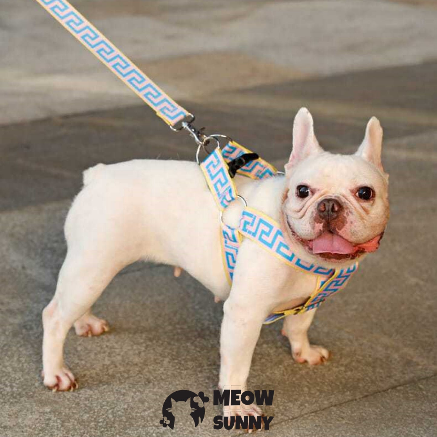 Car Safety Dog Harness with Seat Belt, Blue, Medium: 45 to 76-cm chest
