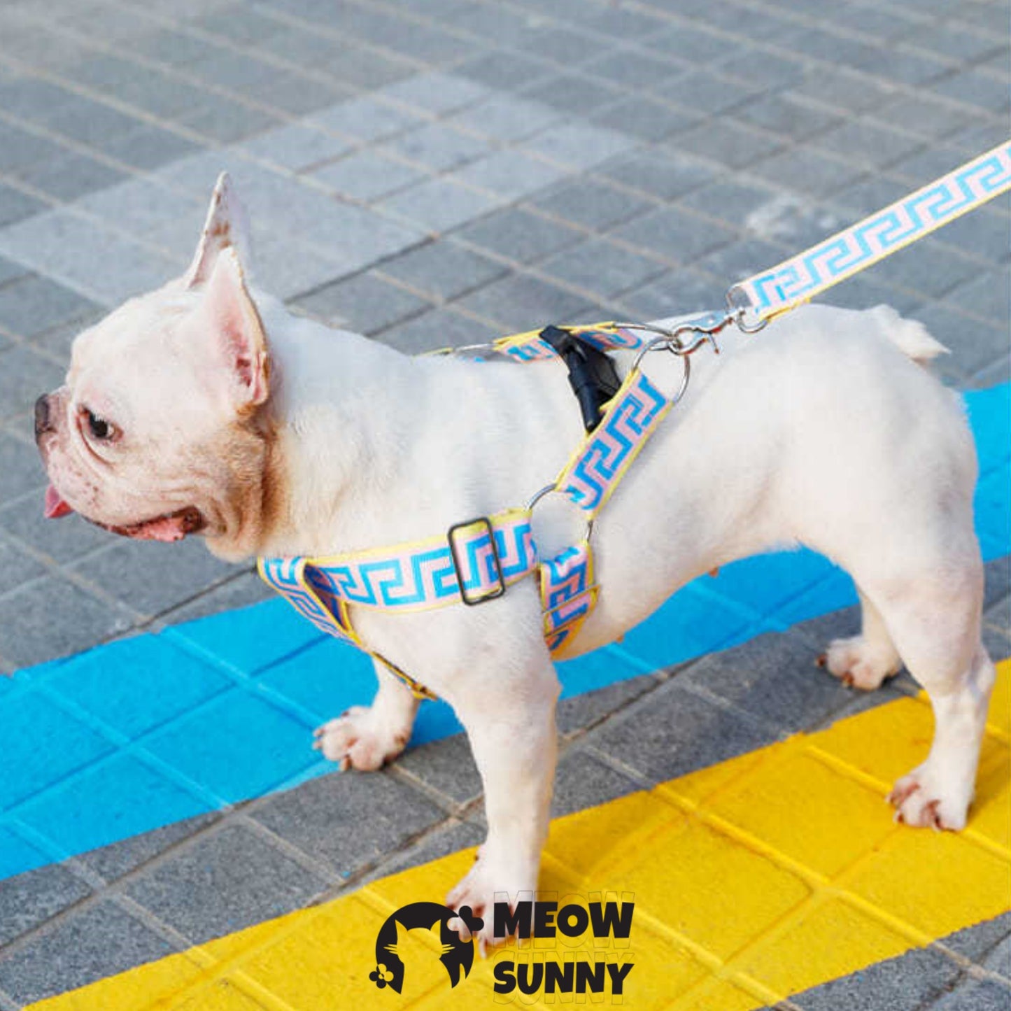 Car Safety Dog Harness with Seat Belt, Blue, Medium: 45 to 76-cm chest