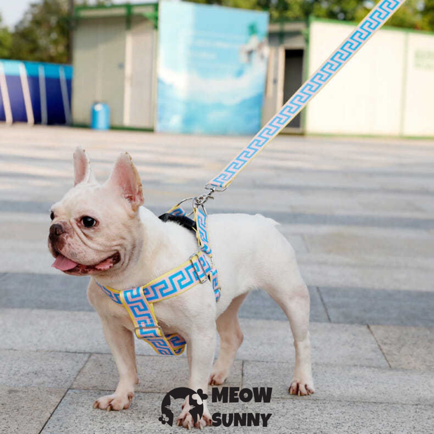 Car Safety Dog Harness with Seat Belt, Blue, Medium: 45 to 76-cm chest