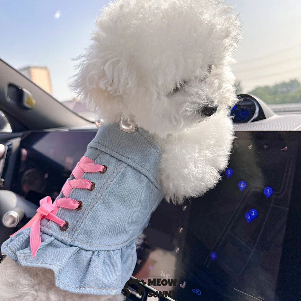 Summer Dog Princess Denim Dress with Pink Tie