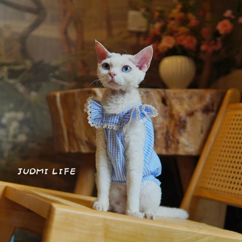 Summer Cat Clothing Blue Plaid Comfortable Transparent Pet Dress