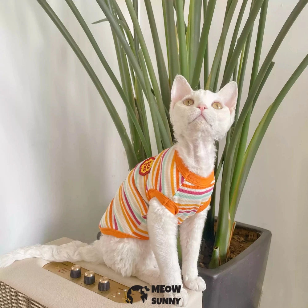 Devon cat clothes pure cotton striped stretch vest