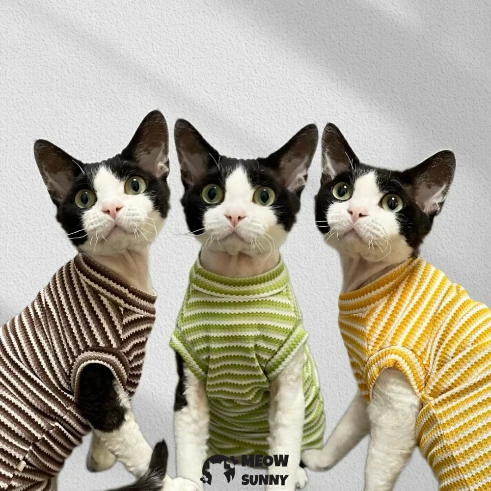 Summer Hairless Cat Clothes German Short Sleeve Striped Cotton Vest