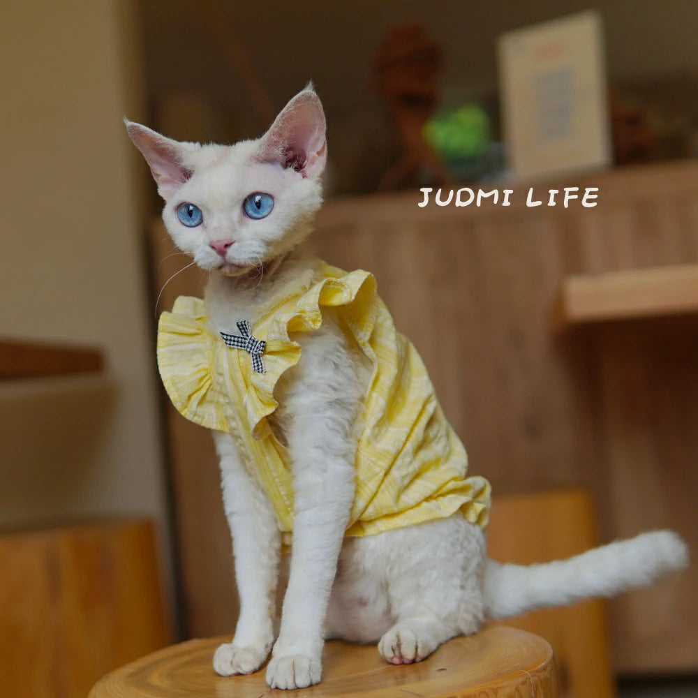 Sphynx Hairless Cat Summer Lightweight Cool Cute Yellow Vest