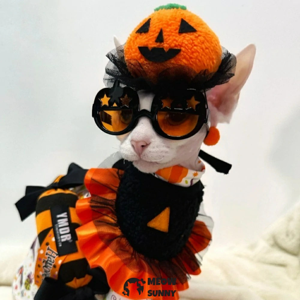 Pure cotton hairless cat clothes pure cotton Halloween handsome four-legged cover