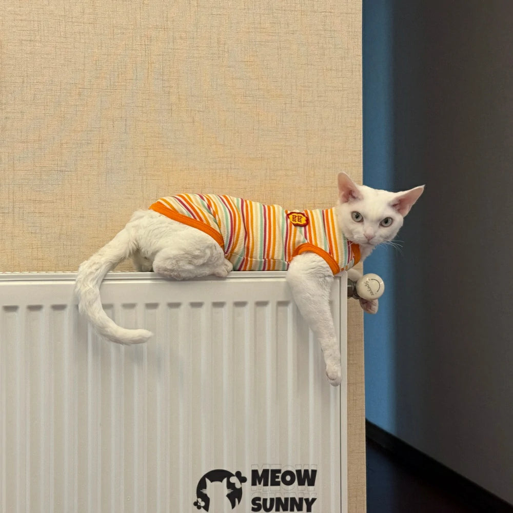 Devon cat clothes pure cotton striped stretch vest
