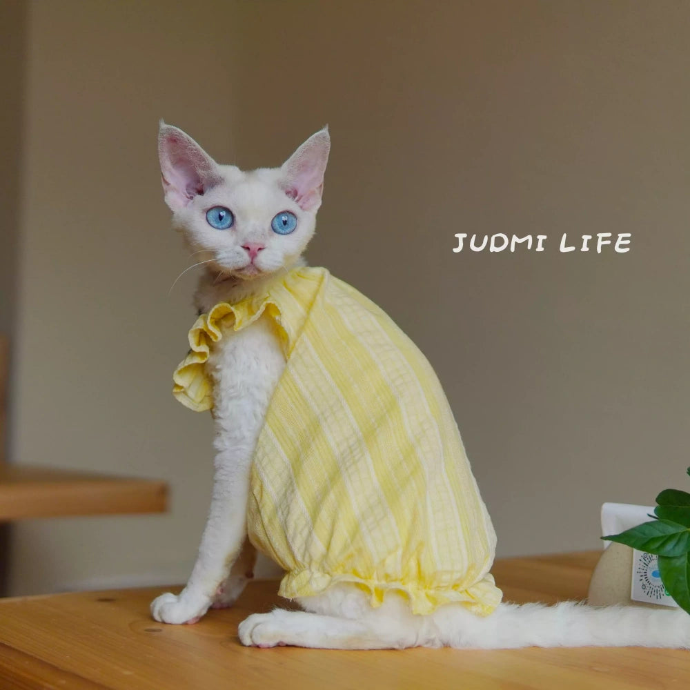 Sphynx Hairless Cat Summer Lightweight Cool Cute Yellow Vest