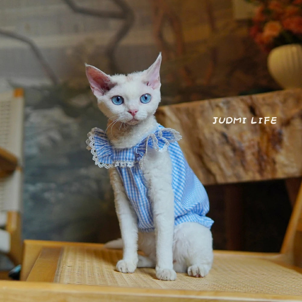 Summer Cat Clothing Blue Plaid Comfortable Transparent Pet Dress