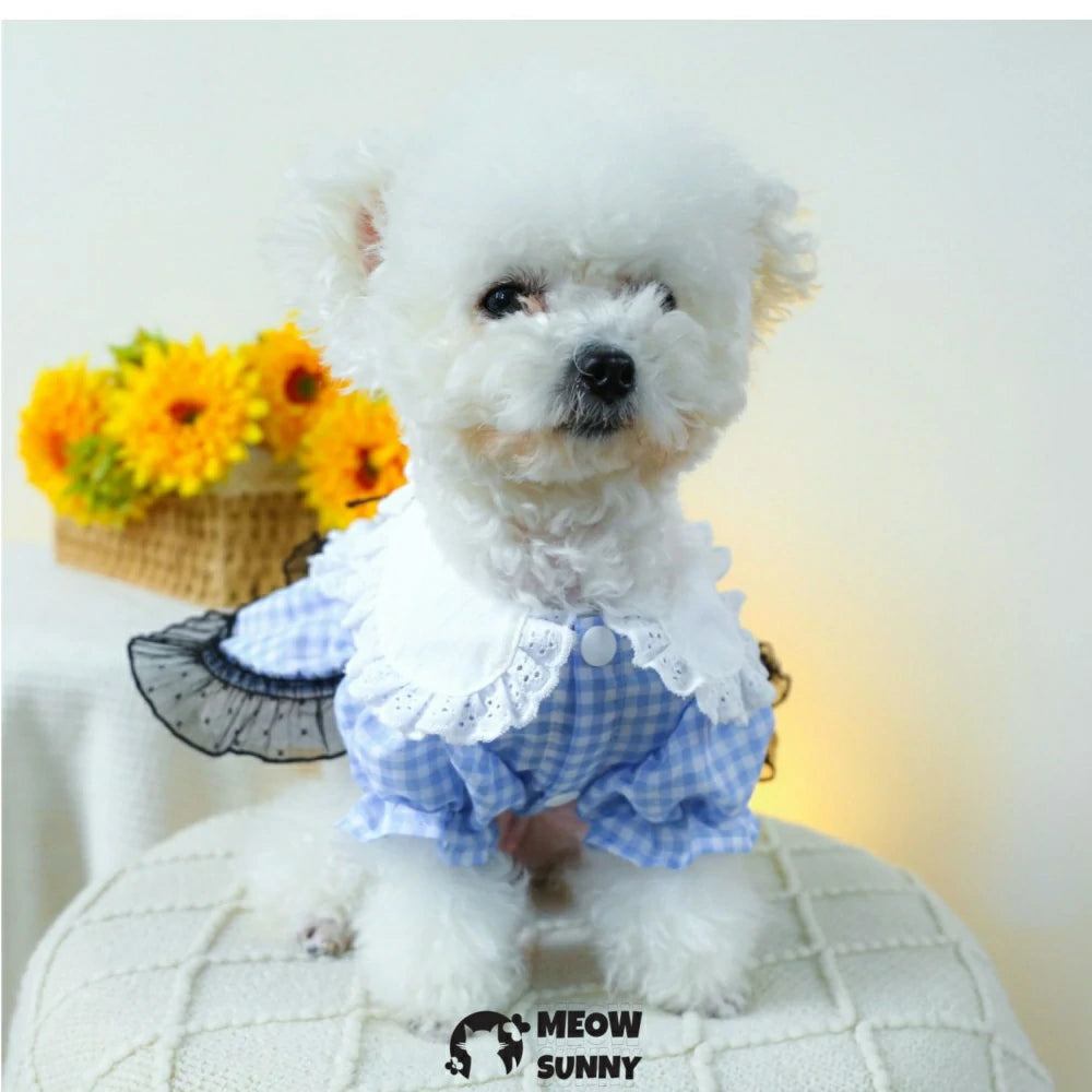 Small dog traction gauze skirt pet dog clothes princess dress