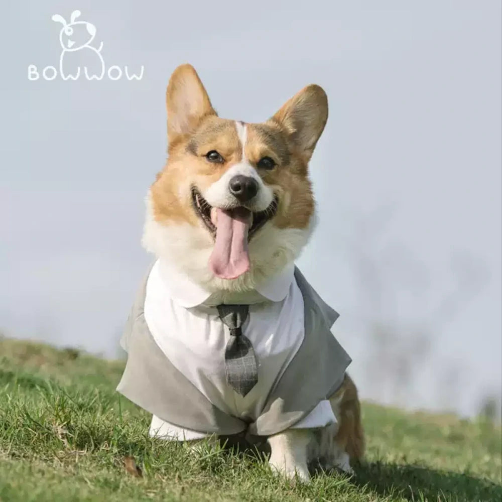 Dog suit dress tuxedo big dog wedding suit