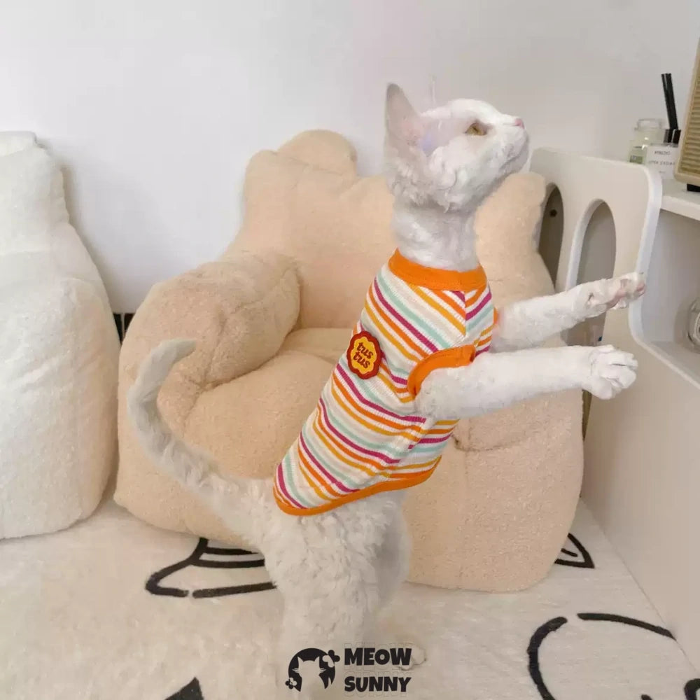 Devon cat clothes pure cotton striped stretch vest