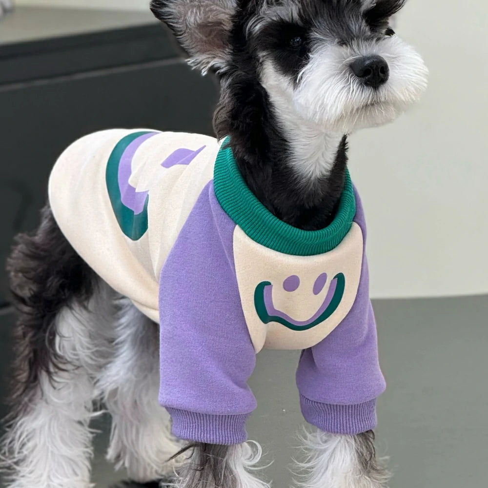 Dog autumn and winter clothes plush cotton colorblock sweatshirt