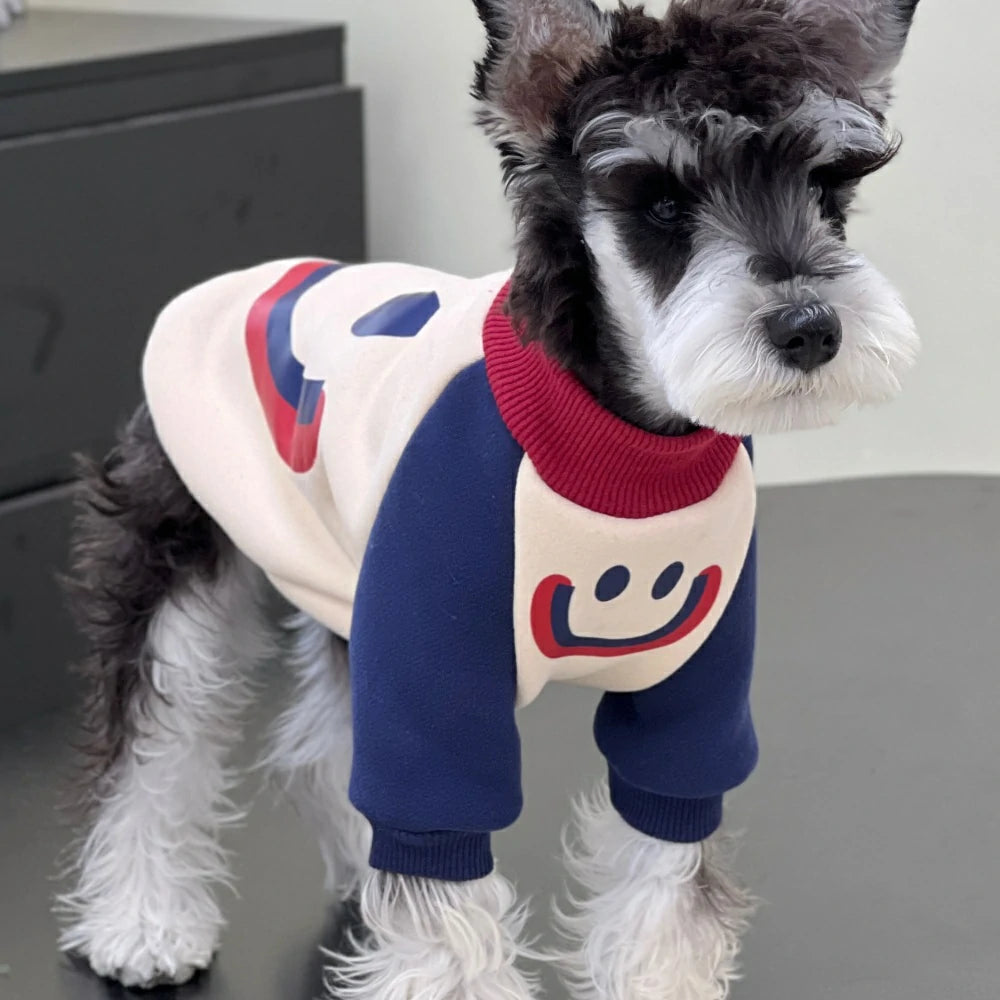 Dog autumn and winter clothes plush cotton colorblock sweatshirt