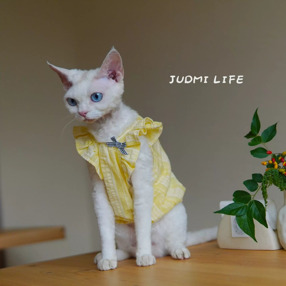Sphynx Hairless Cat Summer Lightweight Cool Cute Yellow Vest