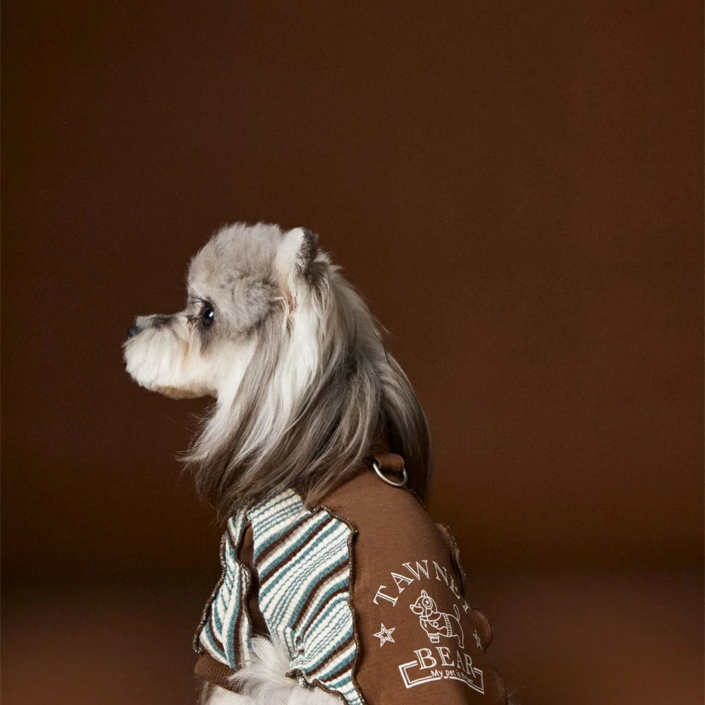 Autumn Pet Clothes Puppy Patchwork Sweatshirt