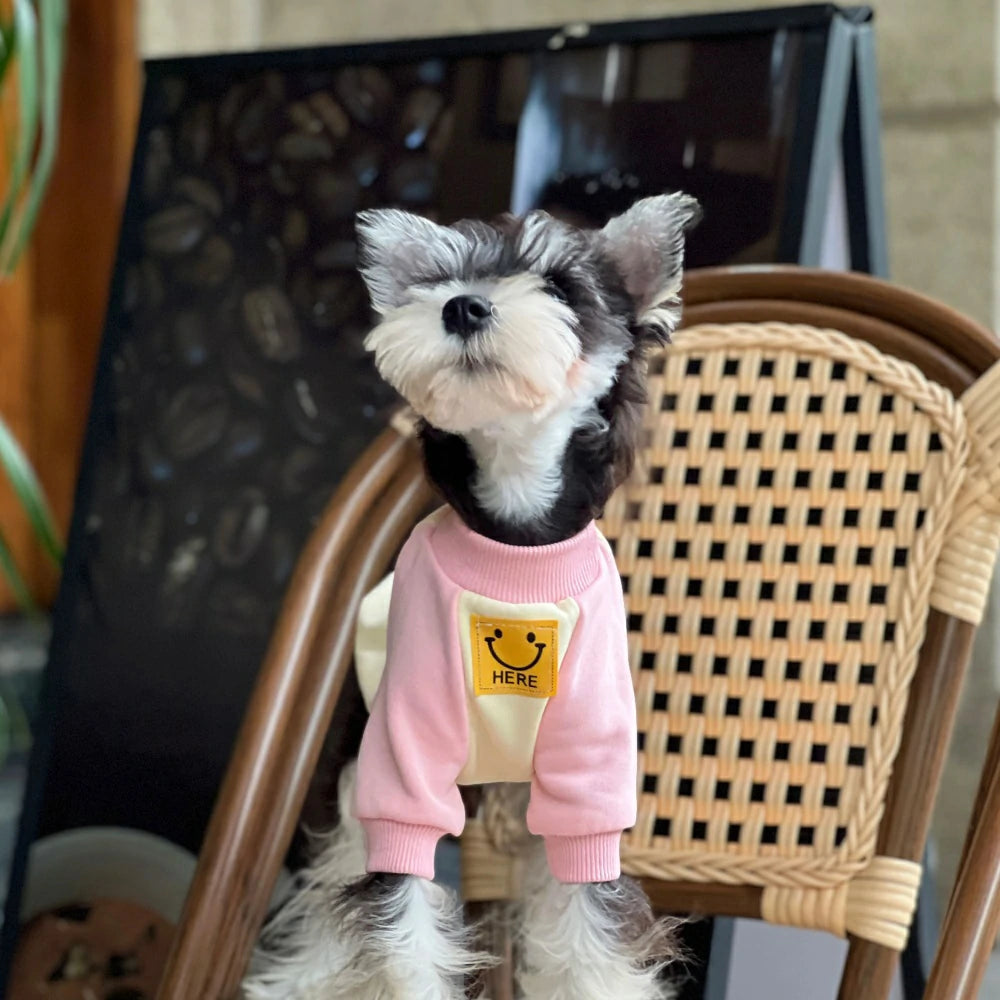 Autumn and Winter Pure Cotton Colorblock Smiley Face Dog Sweatshirt