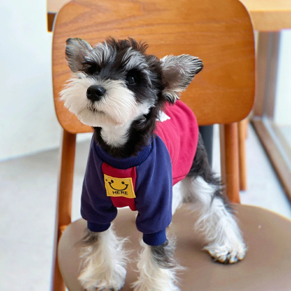 Autumn and Winter Pure Cotton Colorblock Smiley Face Dog Sweatshirt