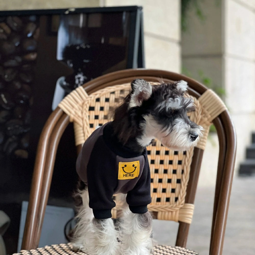Autumn and Winter Pure Cotton Colorblock Smiley Face Dog Sweatshirt