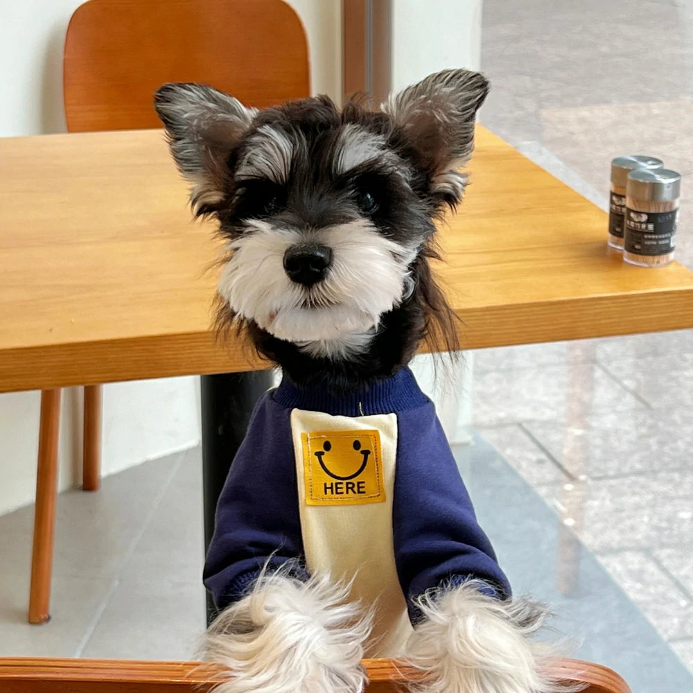 Autumn and Winter Pure Cotton Colorblock Smiley Face Dog Sweatshirt