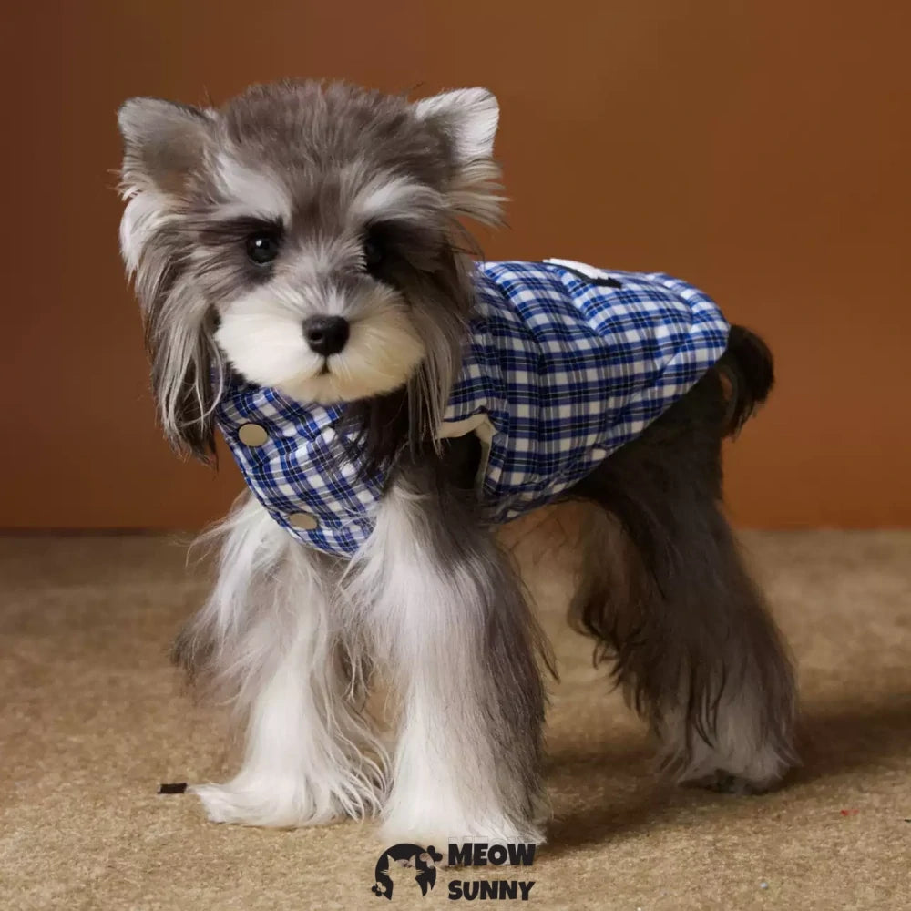 Autumn and winter dog down jacket vest