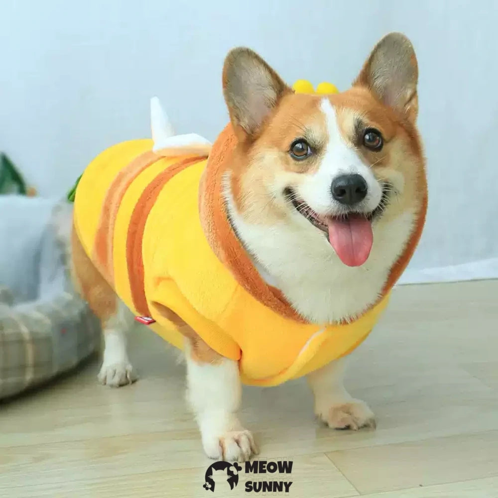Bee puppy clothes thickened Corgi warm cotton coat