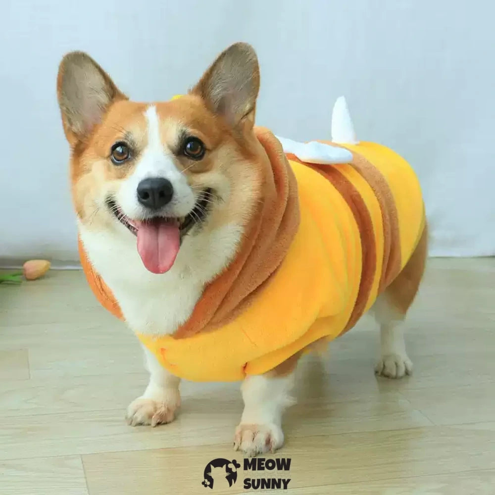 Bee puppy clothes thickened Corgi warm cotton coat