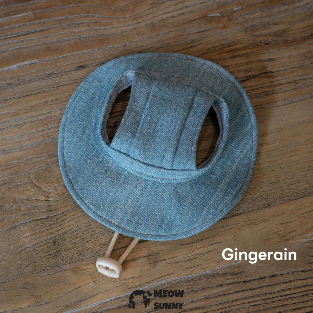 Big Bow Cat Leash Set with Hat