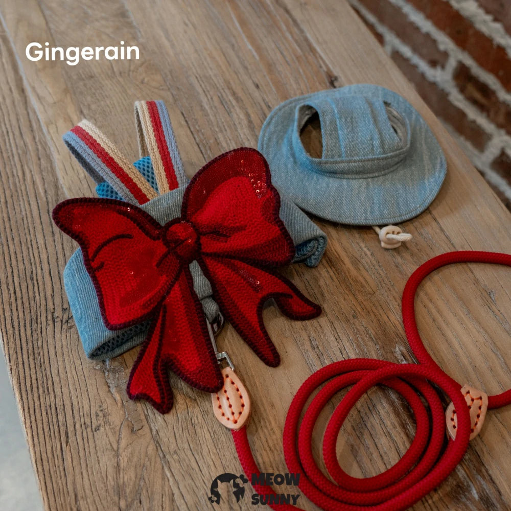 Big Bow Cat Leash Set with Hat