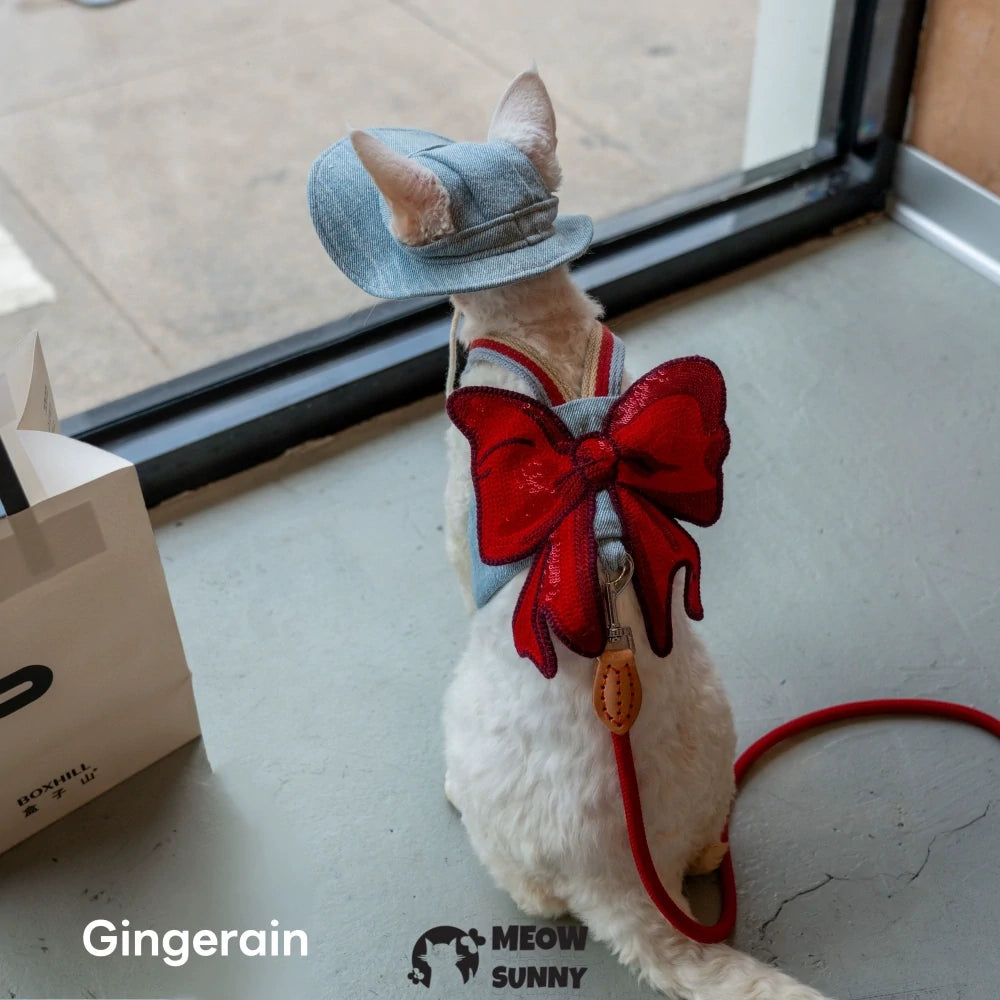 Big Bow Cat Leash Set with Hat