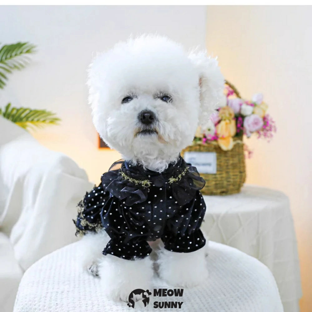 Black and gold dress pet clothes dog dress velvet princess dress