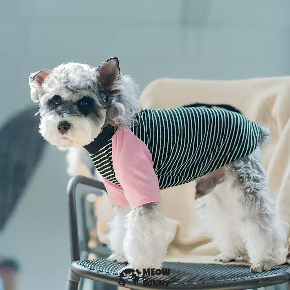 Black and pink patchwork summer thin dog Cotton T-shirt