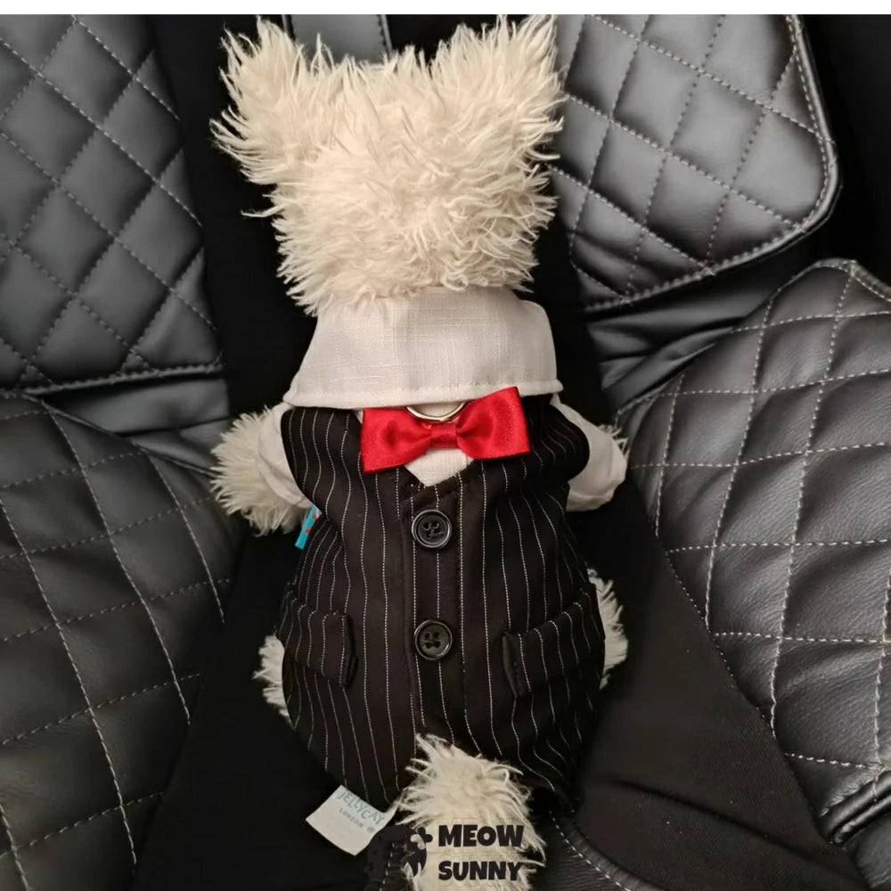 Black and white striped bow tie tuxedo dog clothes handsome gentleman suit