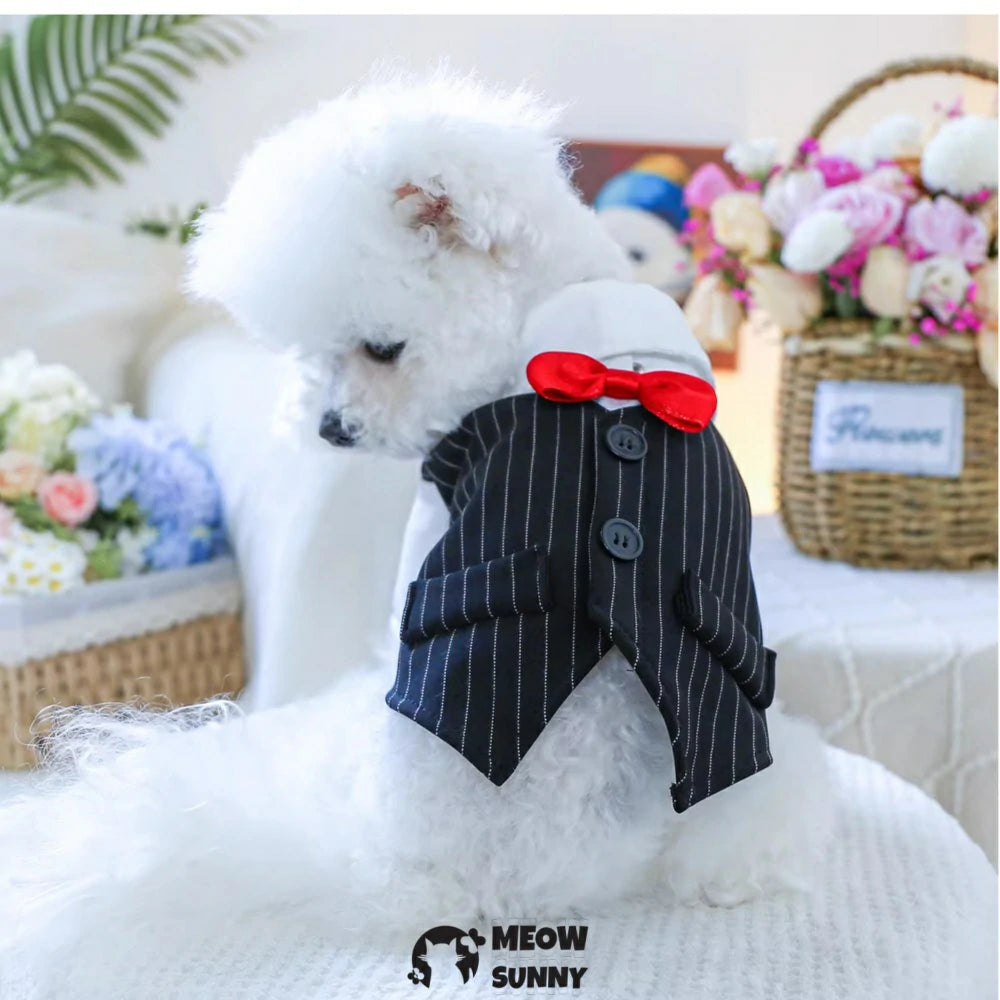 Black and white striped bow tie tuxedo dog clothes handsome gentleman suit