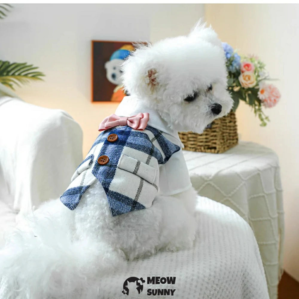 Black and white striped bow tie tuxedo dog clothes handsome gentleman suit
