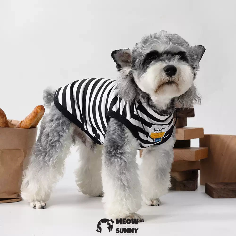 Black and white striped summer thin dog Comfort and Fashion T-shirt