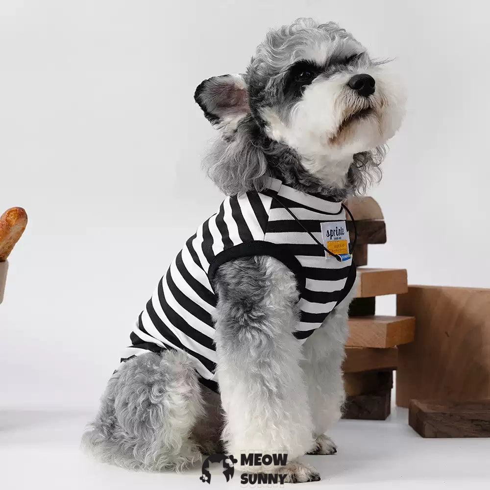 Black and white striped summer thin dog Comfort and Fashion T-shirt