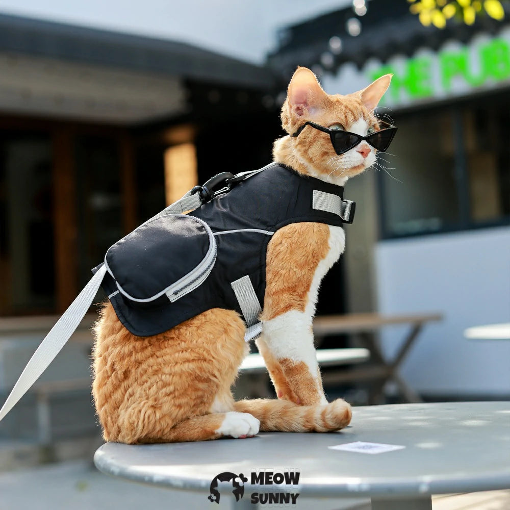 Black cat sun protection chest strap set for outdoor use