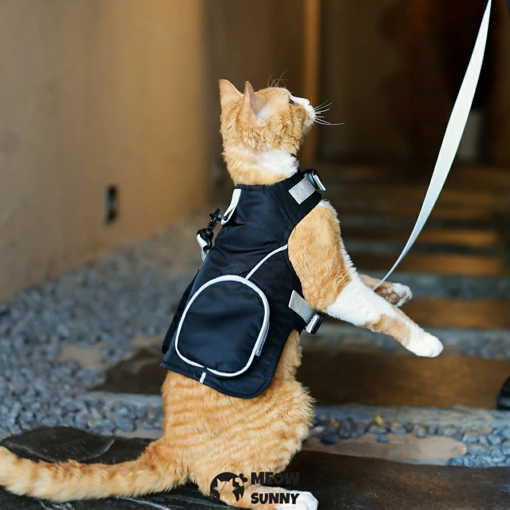 Black cat sun protection chest strap set for outdoor use