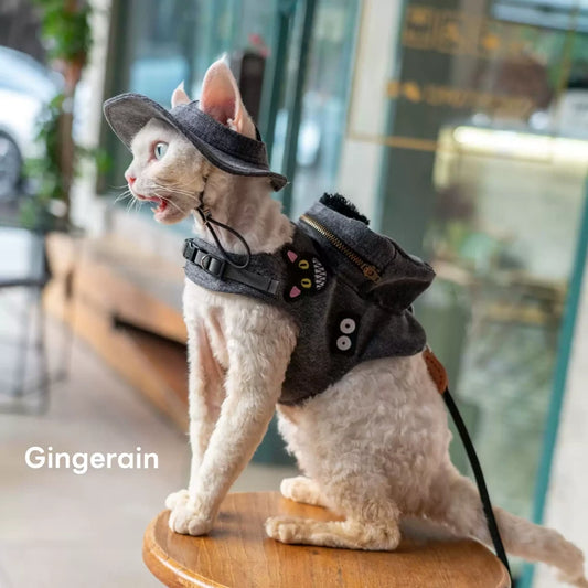 Black cute doll decoration cat denim chest leash set with hat