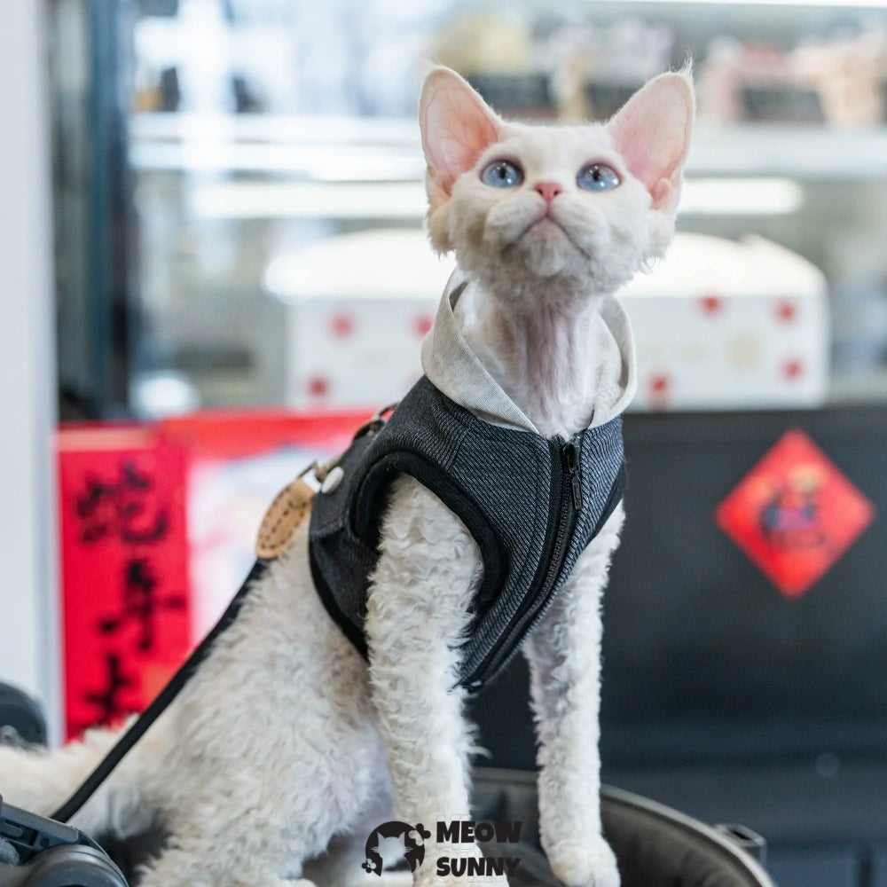 Black retro handsome hoodie cat chest strap suit with hood