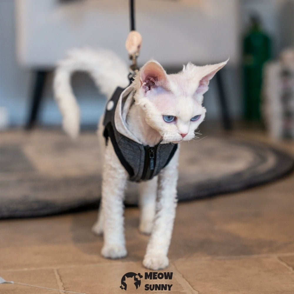 Black retro handsome hoodie cat chest strap suit with hood