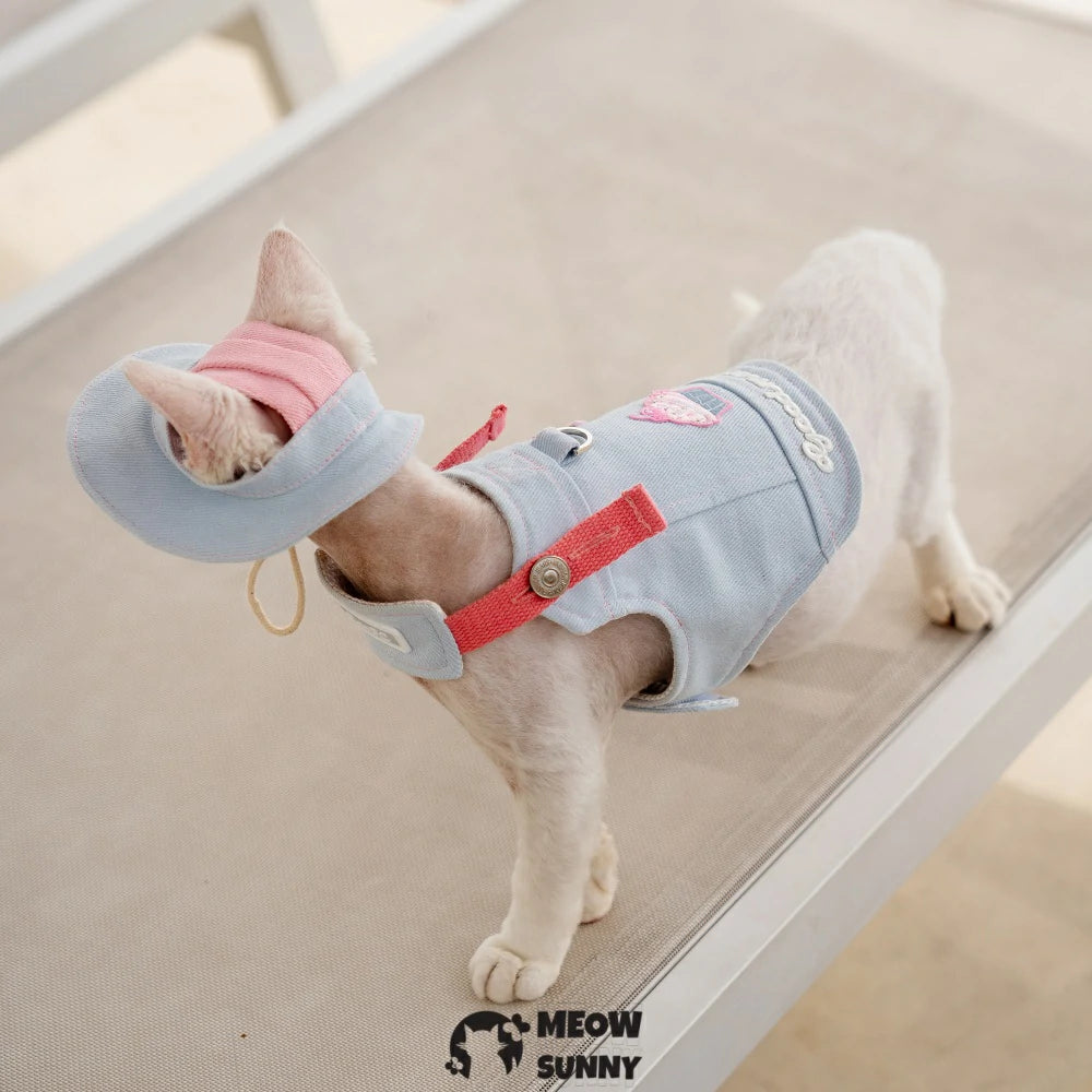 Blue and pink ice cream pattern cat chest harness set with hood