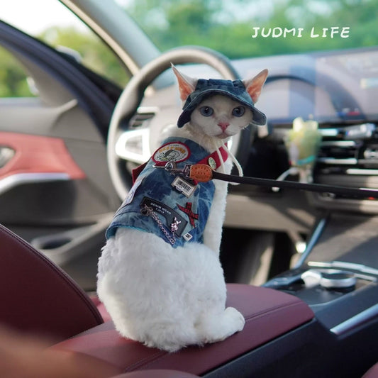 Blue denim with cat cartoon patch and chest leash set including hat