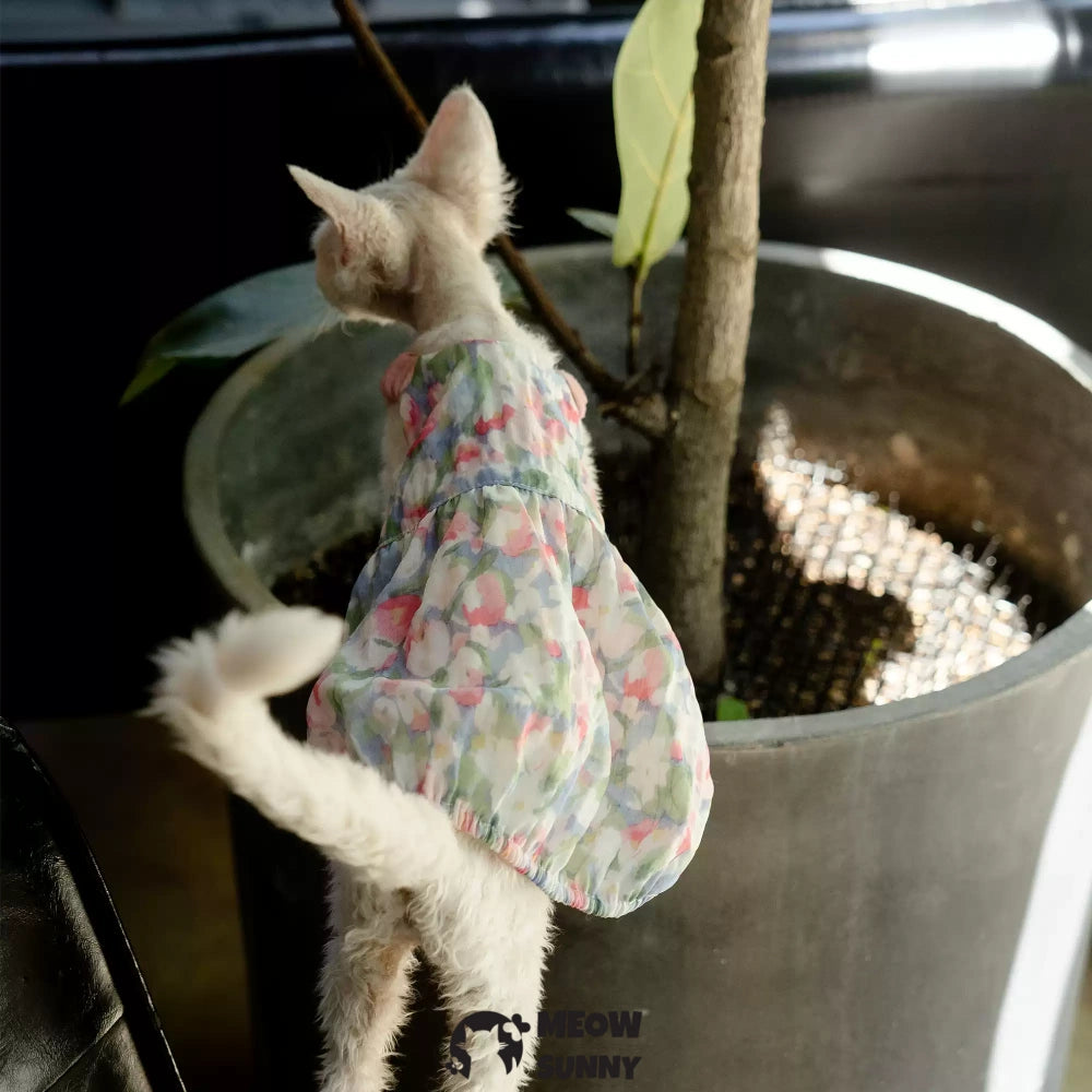 Sphynx Breathable Spring Autumn Cotton Dress with Floral Print Skirt